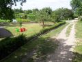 mein Garten